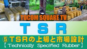 Part.5 TSR20の上場及び商品設計について【TSR(技術的格付けゴム)取引のポイント】